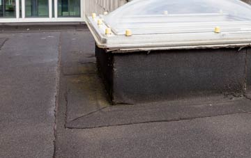 disadvantages of Braepark flat roofs