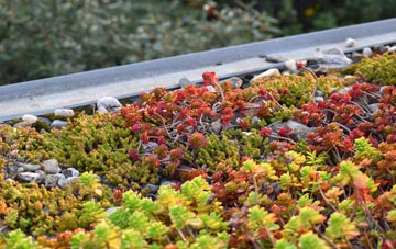 the cost of Braepark green roof installation