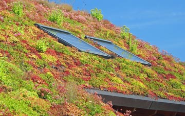 Braepark living roof systems