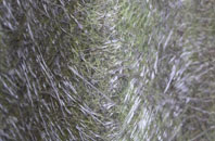 Braepark fibreglass roof work