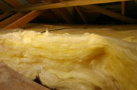 Braepark pitch roof insulation